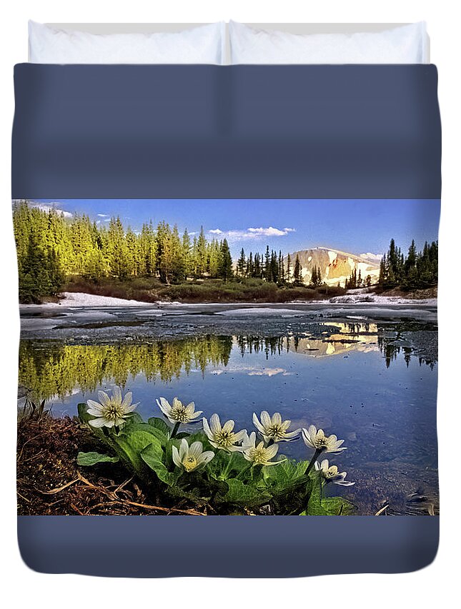 Lost Lake Duvet Cover featuring the photograph Lost Lake by Bob Falcone