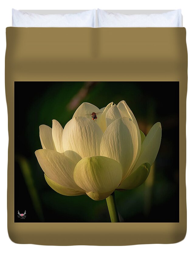 Lotus Duvet Cover featuring the photograph Lotus and Bee Friend by Pam Rendall