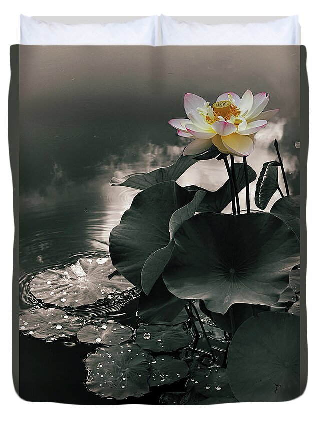 Lotus Duvet Cover featuring the photograph Lotus in the Mist by Jessica Jenney