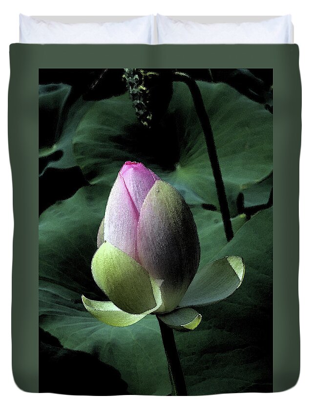 Lotus Duvet Cover featuring the photograph Lotus Watercolor by Carolyn Stagger Cokley