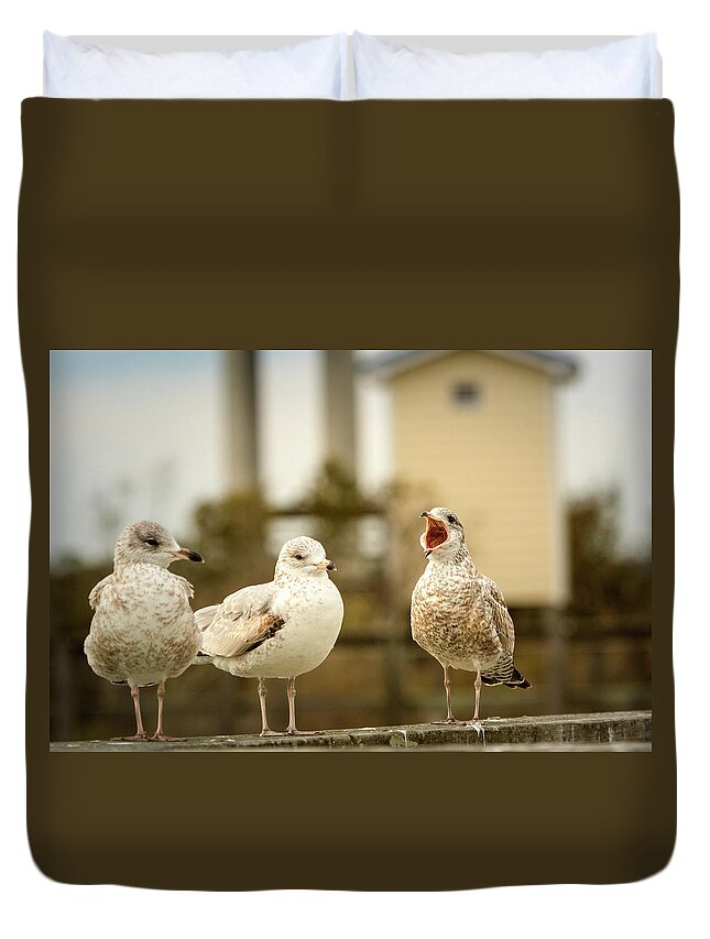 North Carolina Duvet Cover featuring the photograph Loud Mouthed Juvenile Gull by Joni Eskridge