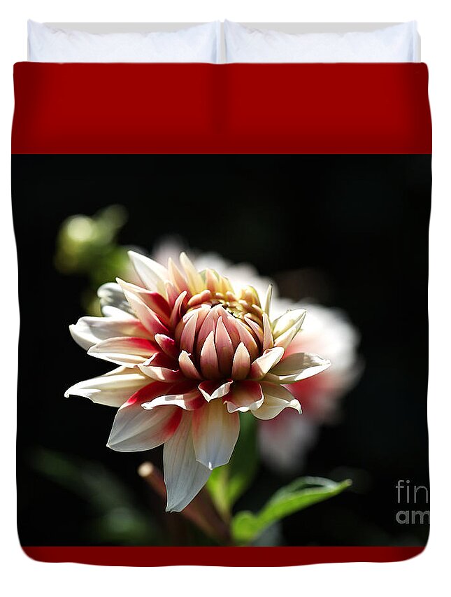 Fire And Ice Duvet Cover featuring the photograph Love For Dahlia by Joy Watson