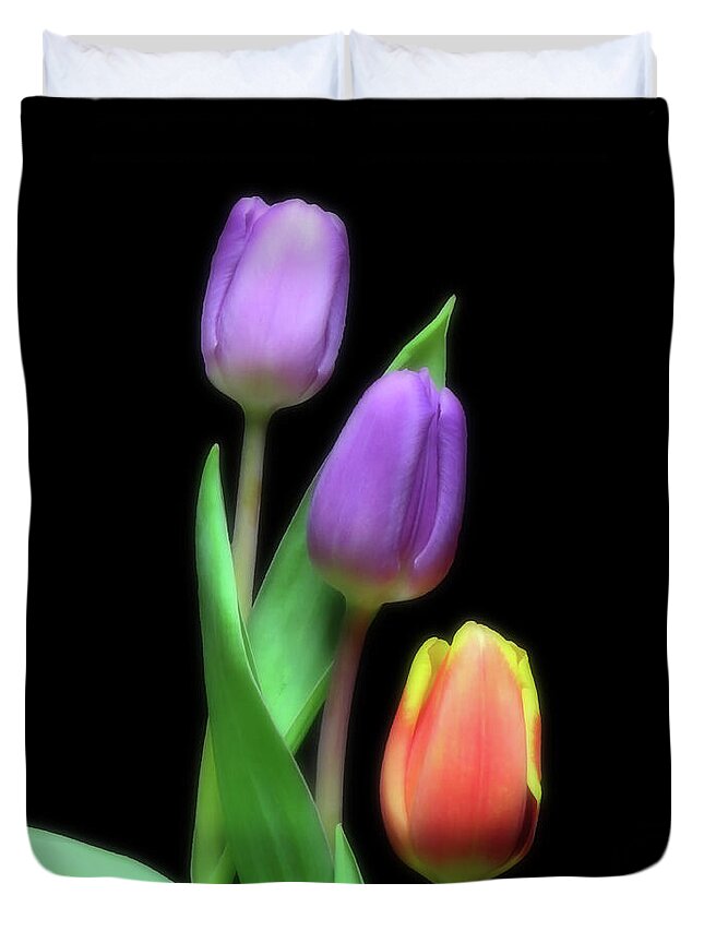 Tulips Duvet Cover featuring the photograph Lovely Purple And Red Trio by Johanna Hurmerinta