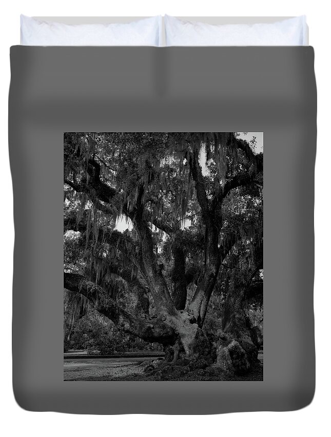 Brunswick Duvet Cover featuring the photograph Lover's Oak by John Simmons