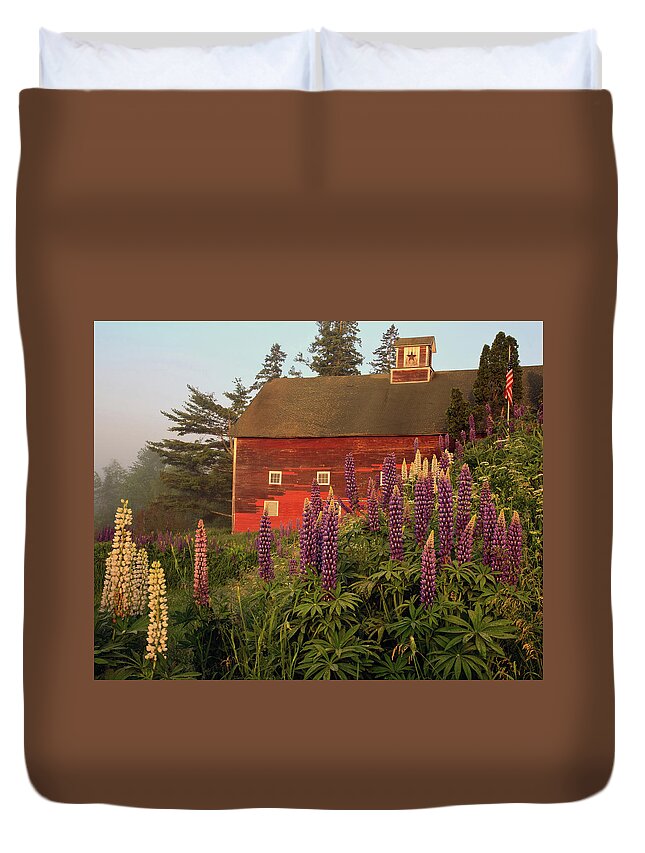 Lupine Festivle Duvet Cover featuring the photograph Lupine Barn in Sugar Hill, NH by John Rowe