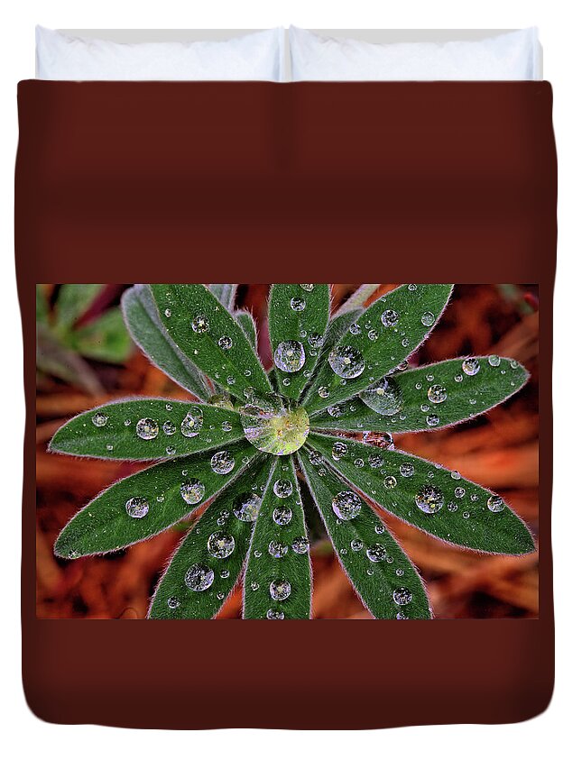 Dew Duvet Cover featuring the photograph Lupine Leaf by Bob Falcone