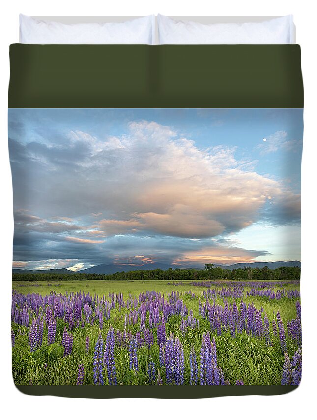 Lupine Duvet Cover featuring the photograph Lupine Sunset Meadows Glow by White Mountain Images