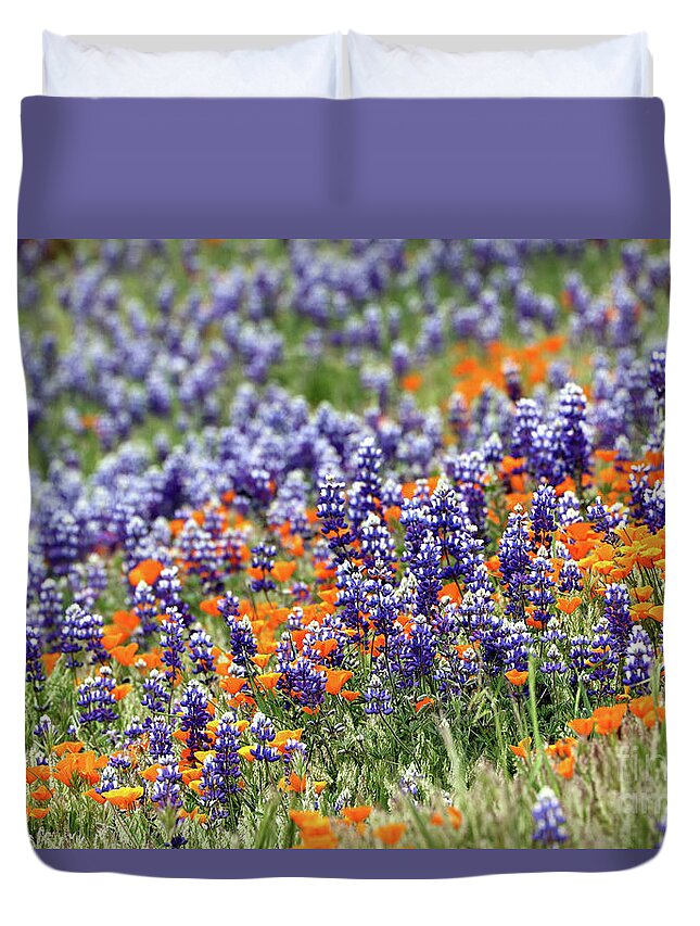 Lupine Duvet Cover featuring the photograph Lupines and Poppies by Vivian Krug Cotton