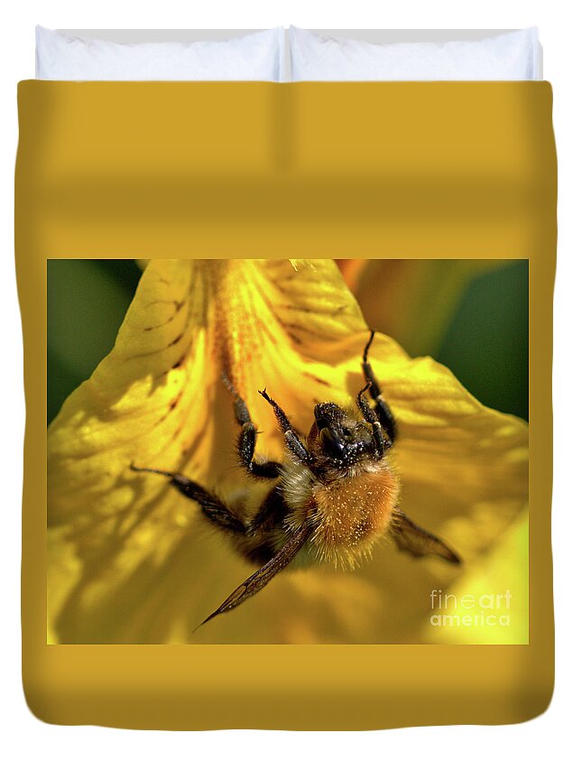 Nature Duvet Cover featuring the photograph Macro of Bee on Iris Bloom by Stephen Melia