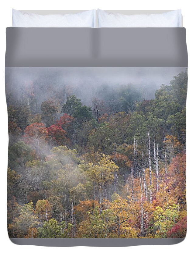 Great Smoky Mountains National Park Duvet Cover featuring the photograph Magic in the Mountains by Forest Floor Photography