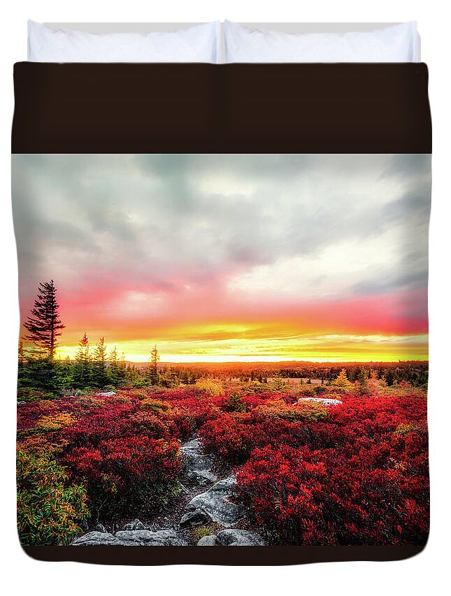 Landscape Duvet Cover featuring the photograph Magic of Autumn by C Renee Martin