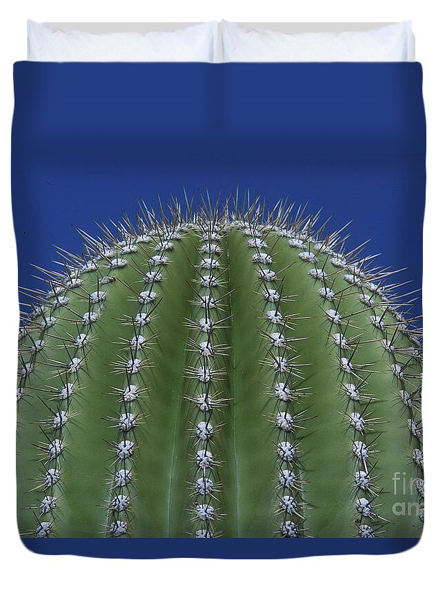 Flora Duvet Cover featuring the photograph Magic of the Saguaro by Sandra Bronstein