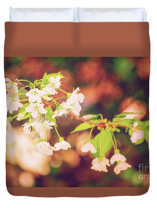 Wild Cherry Duvet Cover featuring the photograph Magical bokeh close up of a blooming sweet cherry tree by Mendelex Photography