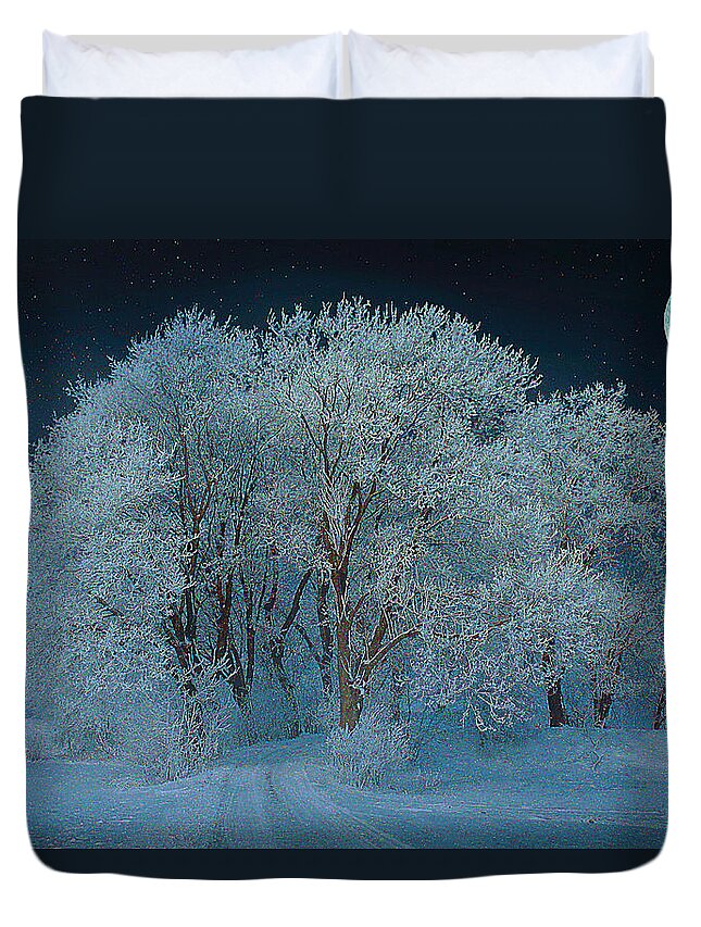 Winter Night Duvet Cover featuring the mixed media Magical Winter Night by Alex Mir