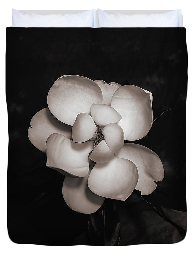 Magnolia Duvet Cover featuring the photograph Magnolia Blossom 4 by Connie Carr