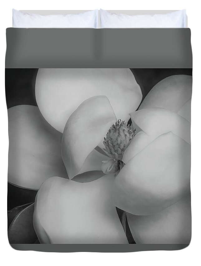 Magnolia Duvet Cover featuring the photograph Magnolia Blossom 5 by Connie Carr