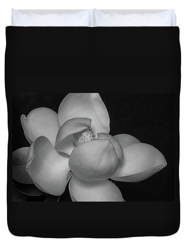 Magnolia Duvet Cover featuring the photograph Magnolia Blossom 9 by Connie Carr