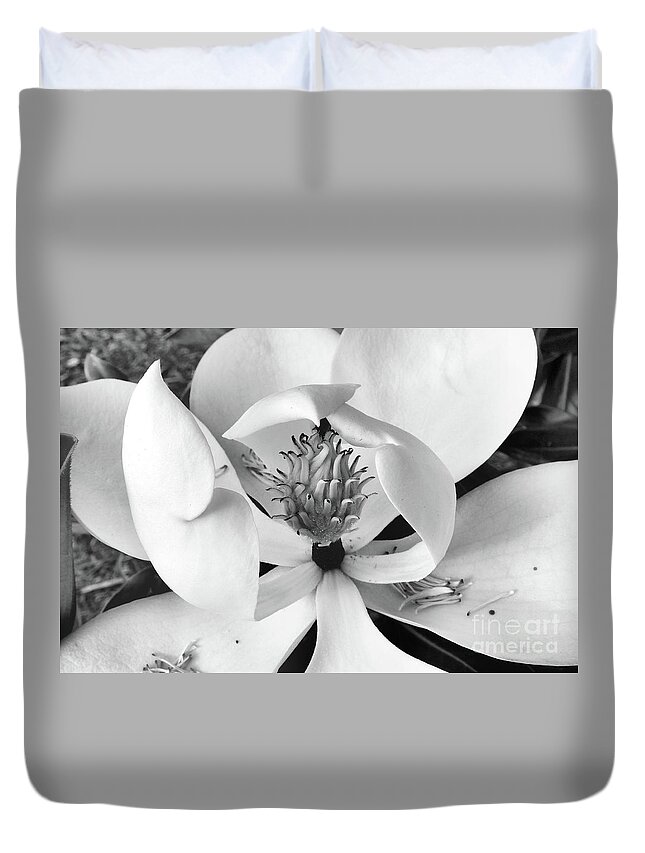 Magnolia Duvet Cover featuring the photograph Magnolia Blossom - Classic Black and White by Scott Cameron