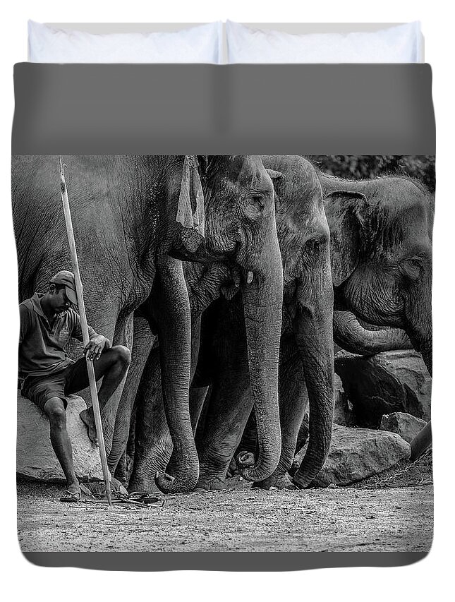 Elephant Duvet Cover featuring the photograph Mahout and the Elephants by Arj Munoz