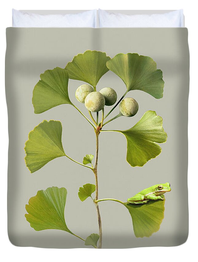 Tree Duvet Cover featuring the digital art Maidenhair Tree and Frog by M Spadecaller