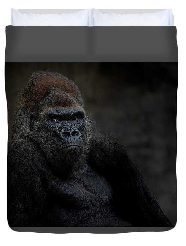 Larry Marshall Photography Duvet Cover featuring the photograph Majestic Gorilla by Larry Marshall