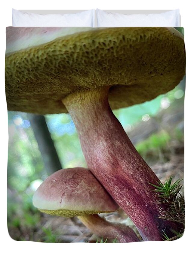 Mushroom Duvet Cover featuring the photograph Majestic Mushrooms #24 by Anjel B Hartwell
