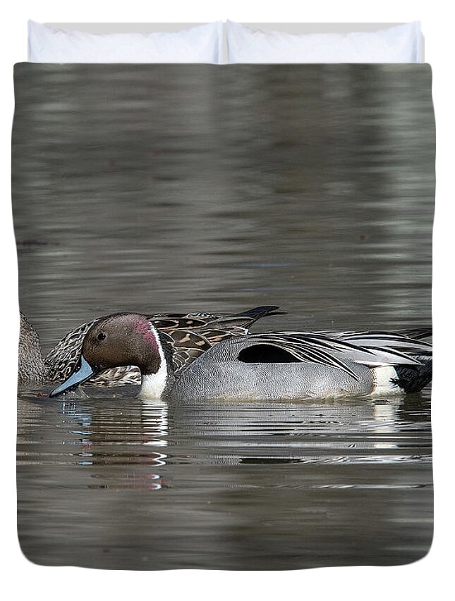 Nature Duvet Cover featuring the photograph Male and Female Northern Pintails DWF0217 by Gerry Gantt