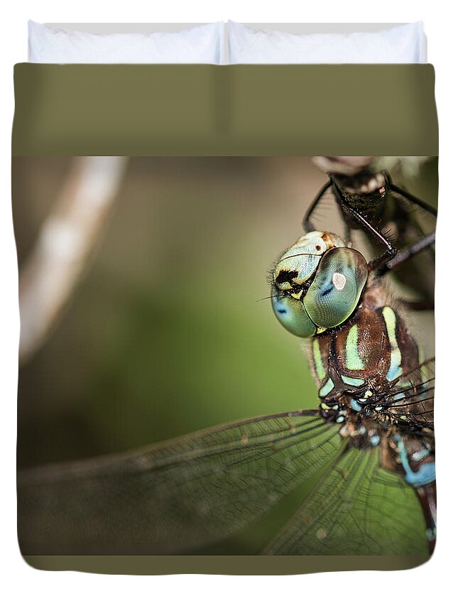 Animals Duvet Cover featuring the photograph Male Blue-eyed Darner by Robert Potts