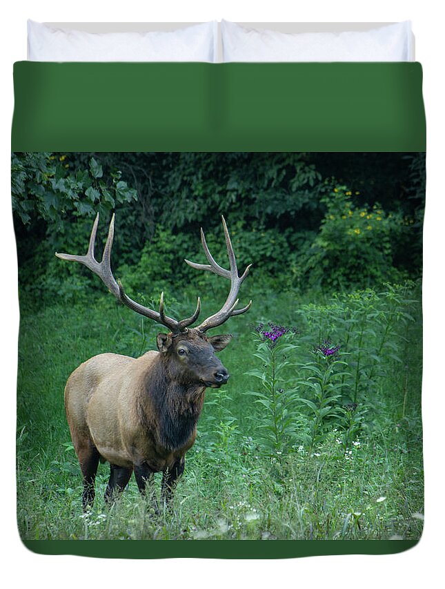 Elk Duvet Cover featuring the photograph Male Elk by Cindy Robinson