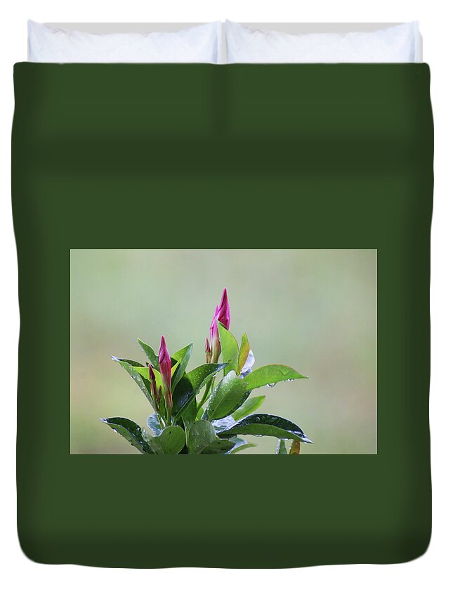  Duvet Cover featuring the photograph Mandevilla Drops by Heather E Harman
