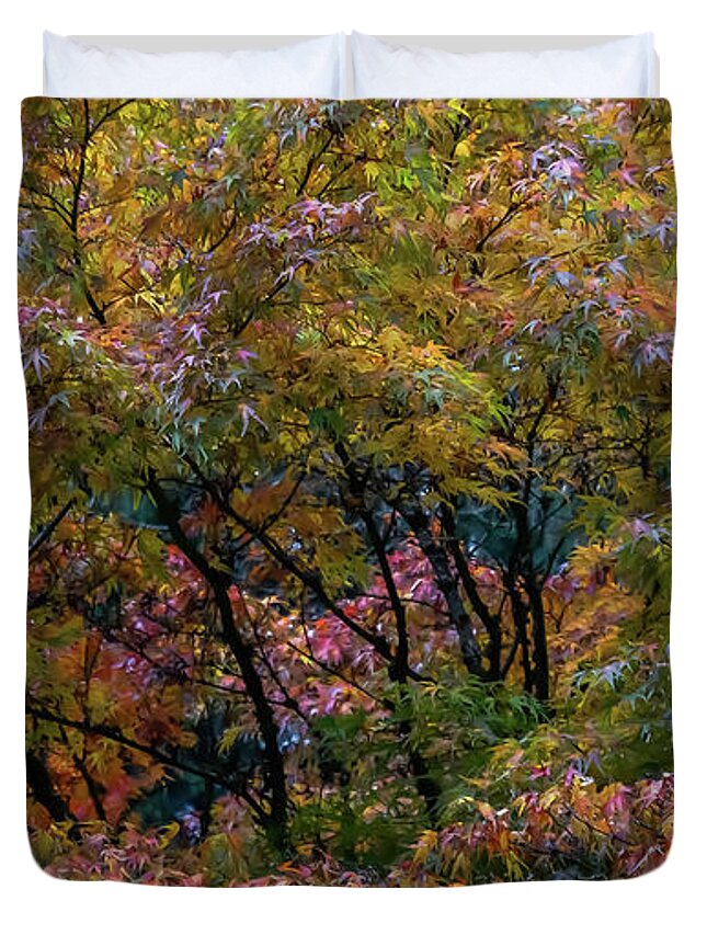 Washington Park Arboretum Duvet Cover featuring the photograph Maple Glow by Emerita Wheeling