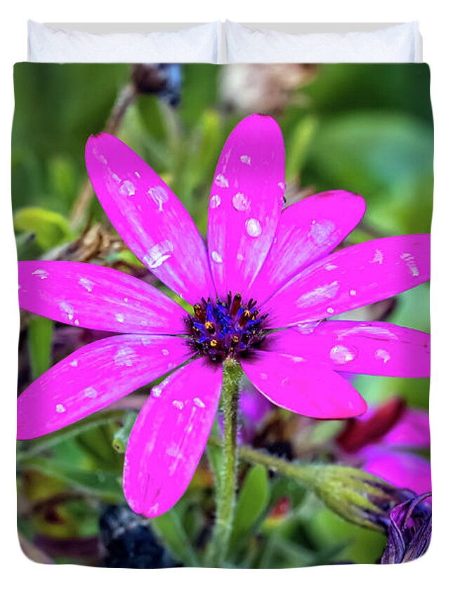 Daisy Duvet Cover featuring the photograph Marguerite Daisy Art by Adrian Evans