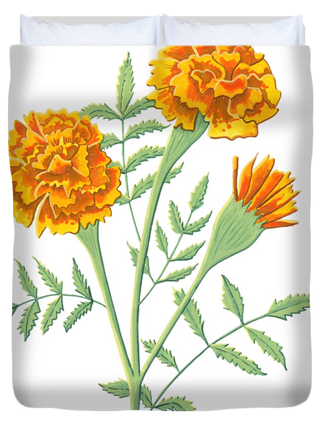 Marigold Duvet Cover featuring the painting Marigold October Birth Month Flower Botanical Print on White - Art by Jen Montgomery by Jen Montgomery