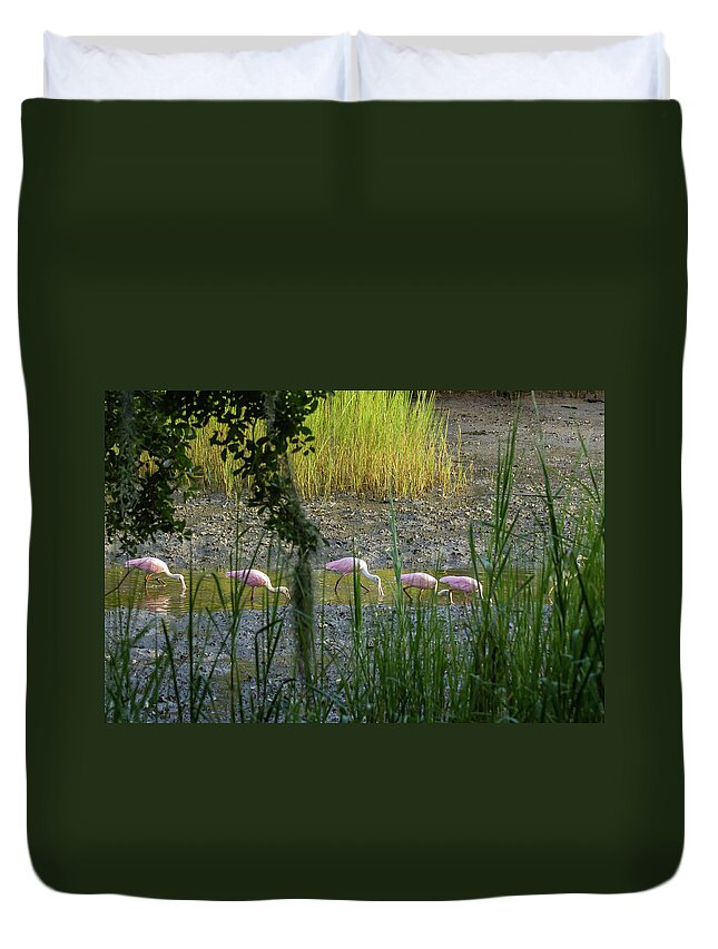 Roseate Spoonbill Duvet Cover featuring the photograph Marsh Highway by Patricia Schaefer