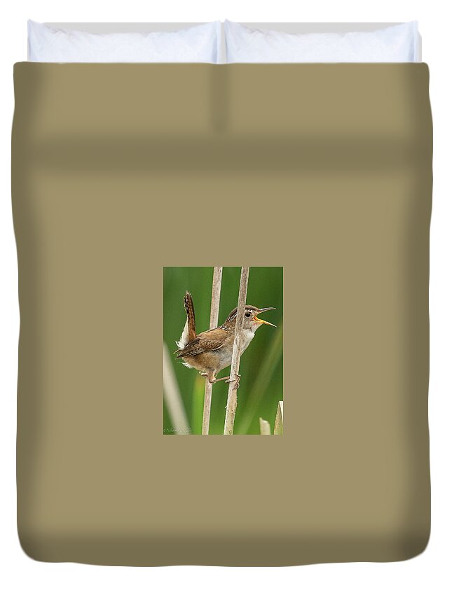 Birds Duvet Cover featuring the photograph Marsh Wren by David Lee