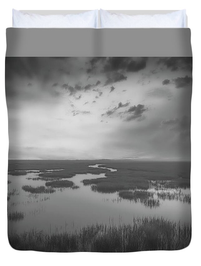 Landscapes Duvet Cover featuring the photograph Marshes of Glynn 2 by DB Hayes