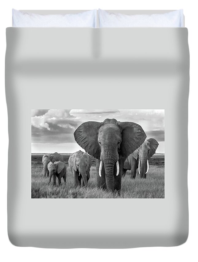 Africa Duvet Cover featuring the photograph Matriarch by Eric Albright