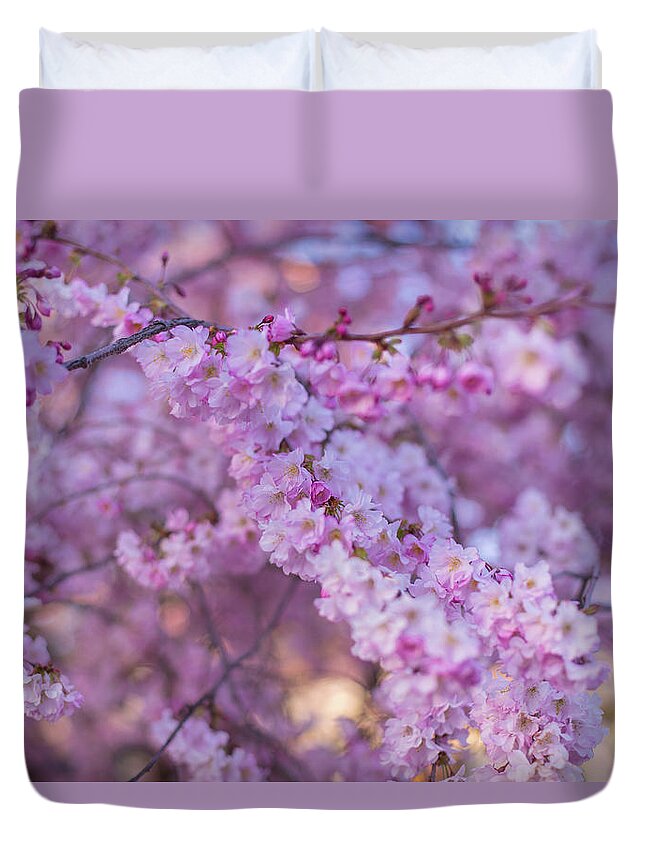 Cherry Blossoms Duvet Cover featuring the photograph Matsuo blossoms by Kunal Mehra