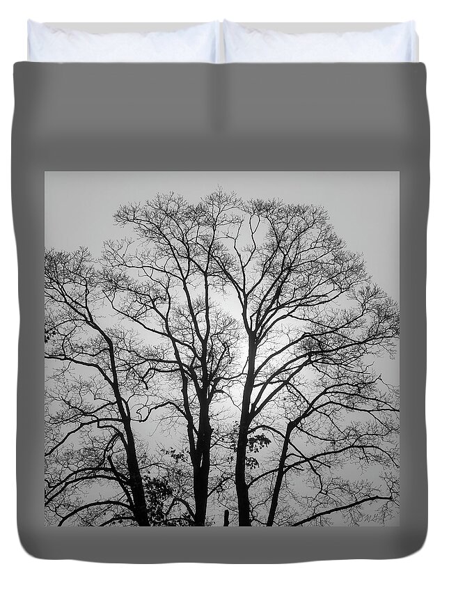 Black And White Duvet Cover featuring the photograph Mayflower Hill VI BW by David Gordon