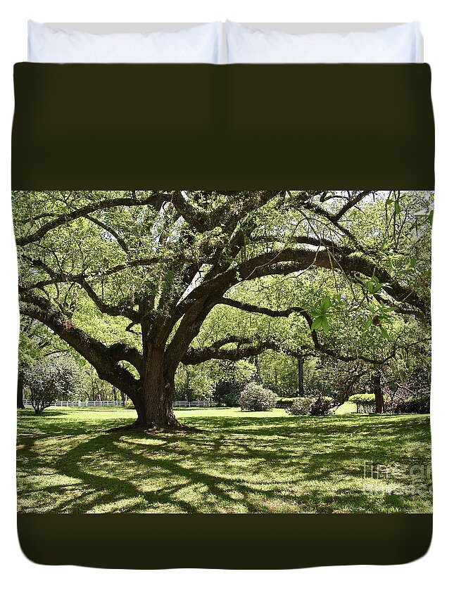 Melrose Duvet Cover featuring the photograph Melrose Estate, Natchez by Ron Long