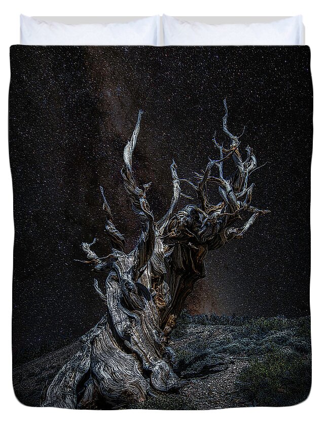 Landscape Duvet Cover featuring the photograph Methuselah Night Sky by Romeo Victor