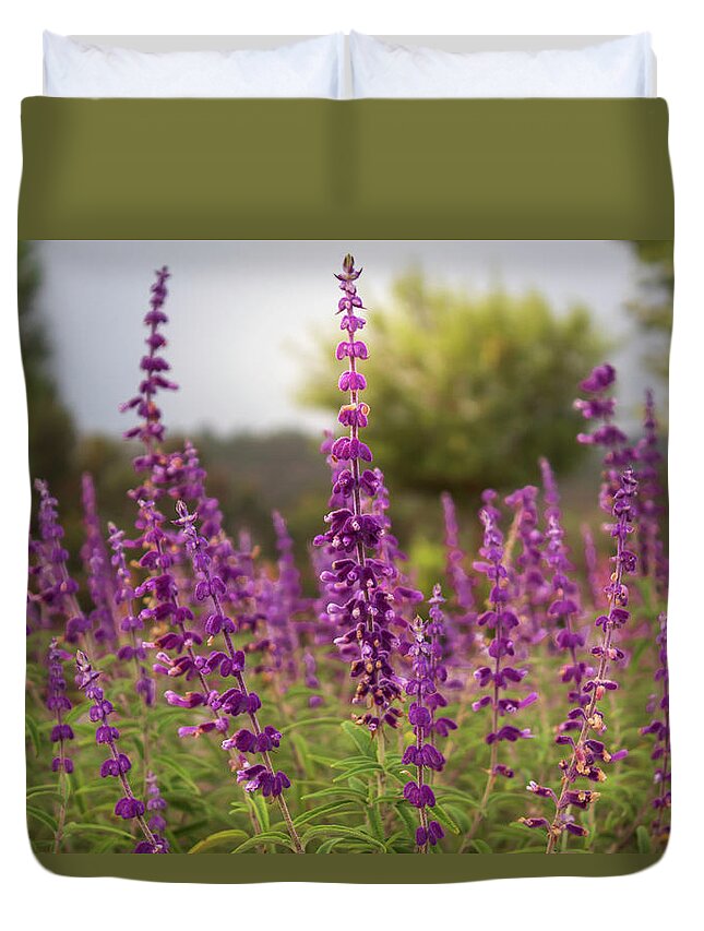 Mexican Bush Sage Duvet Cover featuring the photograph Mexican Sage Plants by Alison Frank
