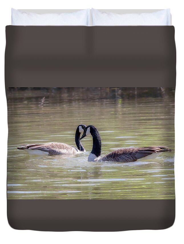 Canada Geese Duvet Cover featuring the photograph Mi Amor - Canada Geese Mating Ritual by Susan Rissi Tregoning