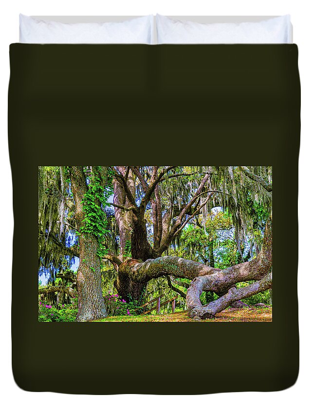 Middleton Plantation Duvet Cover featuring the photograph Middleton Oak Tree by Louis Dallara