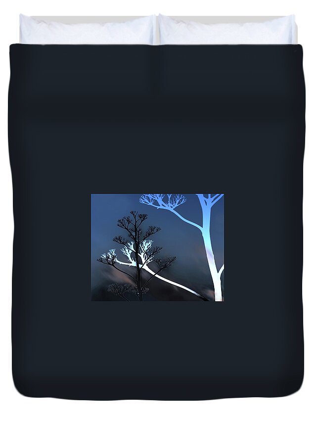 Cactus Duvet Cover featuring the photograph Midnight in the Desert by Kathy Paynter