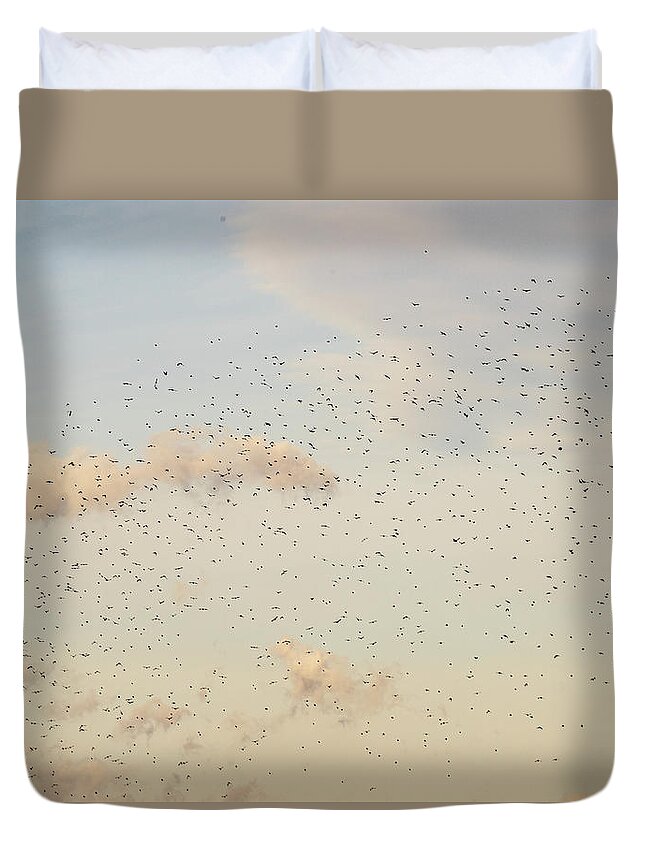 Animals Duvet Cover featuring the photograph MIgrating Birds In The Sky by Amelia Pearn