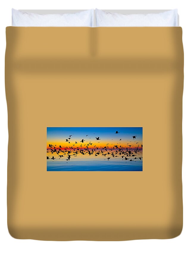 Oceanscape Duvet Cover featuring the photograph Migration by Jim Dollar