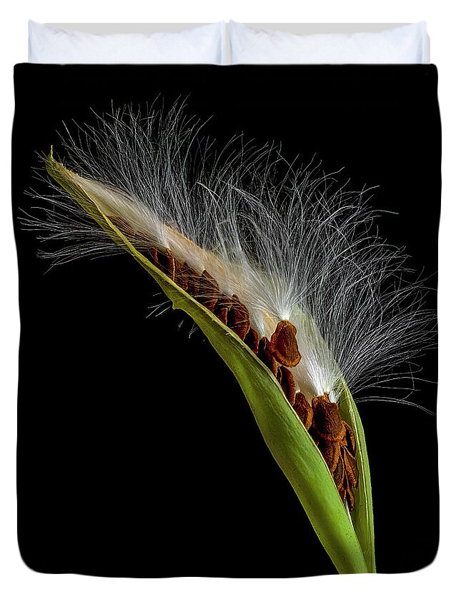 Milkweed Duvet Cover featuring the photograph Milkweed Pod 3 by Endre Balogh