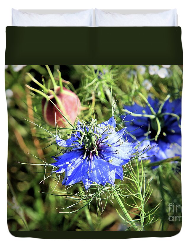 Flower Duvet Cover featuring the photograph Miss Jekyll aka Love In The Mist Flower by Vivian Krug Cotton