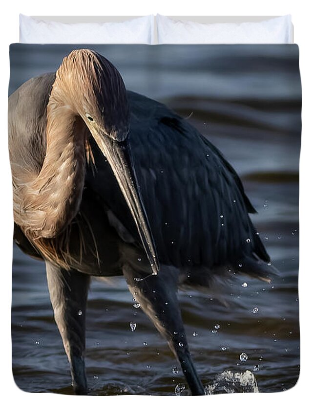 Reddish Egret Duvet Cover featuring the photograph Missed by RD Allen